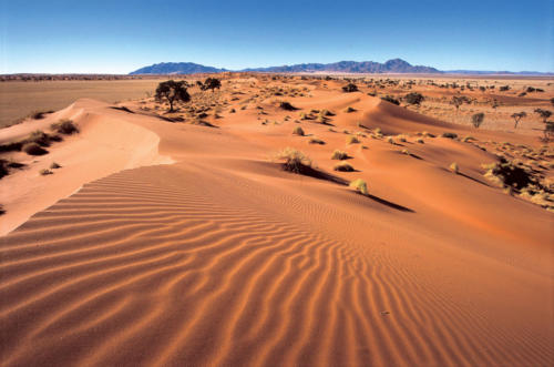 Namib Naukluft Park