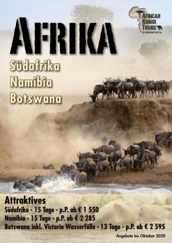 African Kombi Tours Poster